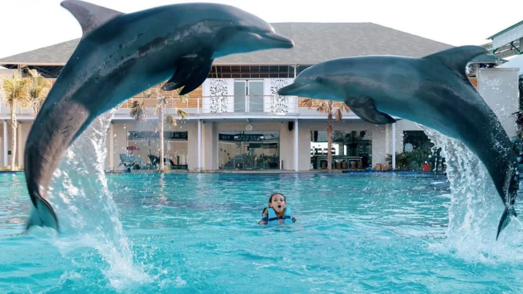 Gastronomic Afternoons and Dolphin Dances Bedugul