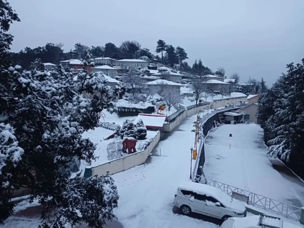 Chail